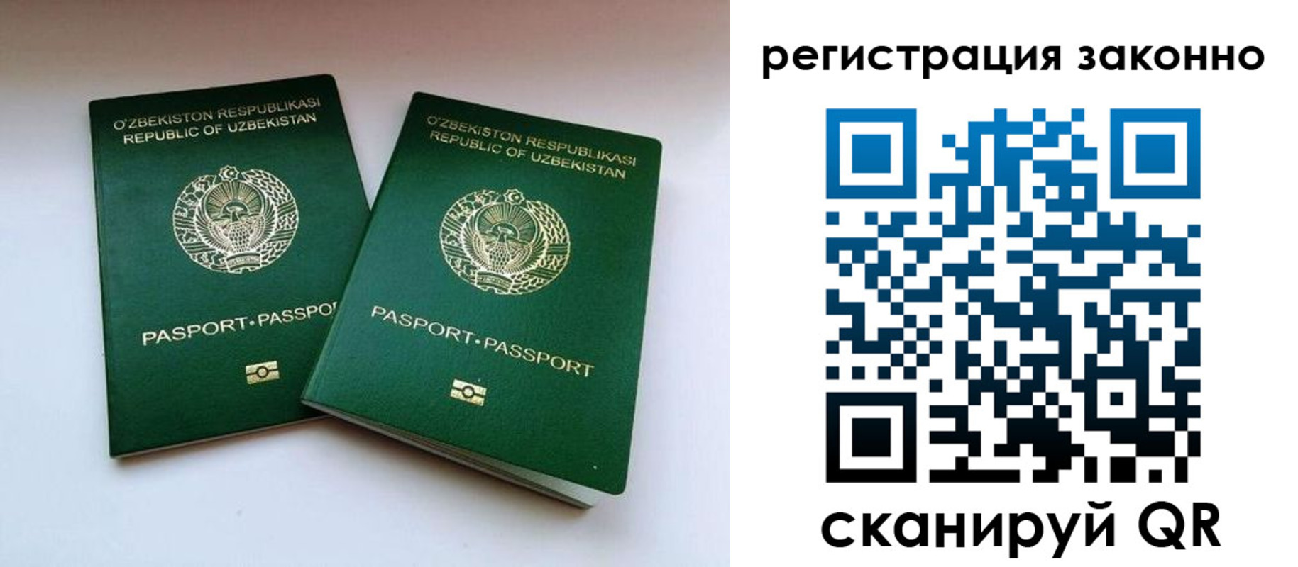прописка гарантия в Липецкая области